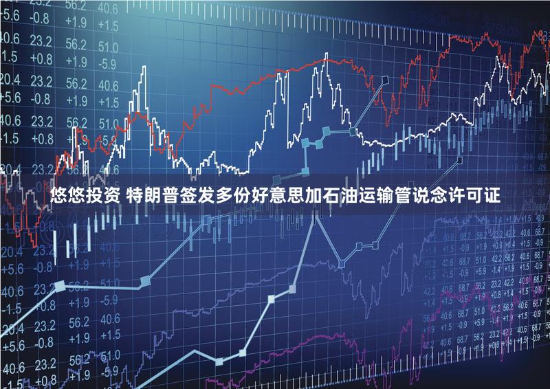 悠悠投资 特朗普签发多份好意思加石油运输管说念许可证