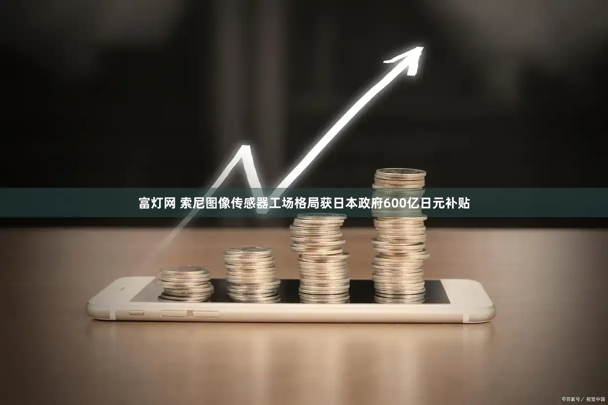 富灯网 索尼图像传感器工场格局获日本政府600亿日元补贴