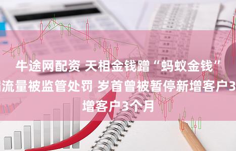 牛途网配资 天相金钱蹭“蚂蚁金钱”诱骗流量被监管处罚 岁首曾被暂停新增客户3个月