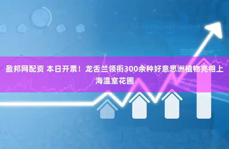 盈邦网配资 本日开票！龙舌兰领衔300余种好意思洲植物亮相上海温室花圃