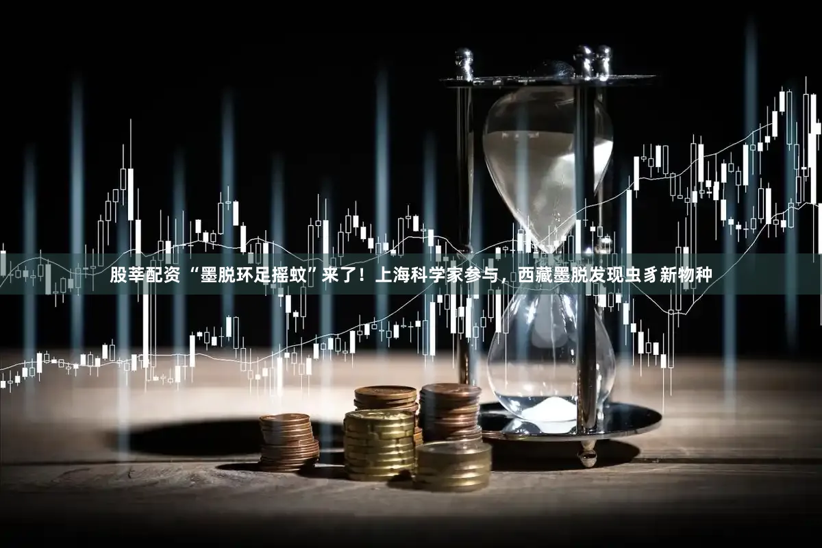 股莘配资 “墨脱环足摇蚊”来了！上海科学家参与，西藏墨脱发现虫豸新物种
