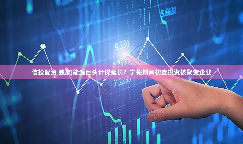 信投配资 独家|能源巨头计谋延长？宁德期间初度投资核聚变企业