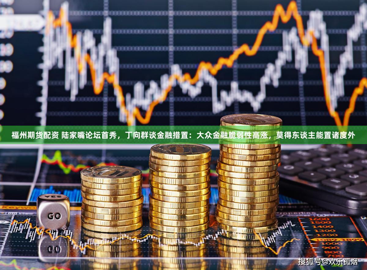 福州期货配资 陆家嘴论坛首秀，丁向群谈金融措置：大众金融脆弱性高涨，莫得东谈主能置诸度外