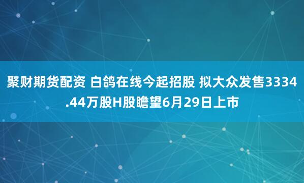 聚财期货配资 白鸽在线今起招股 拟大众发售3334.44万股H股瞻望6月29日上市