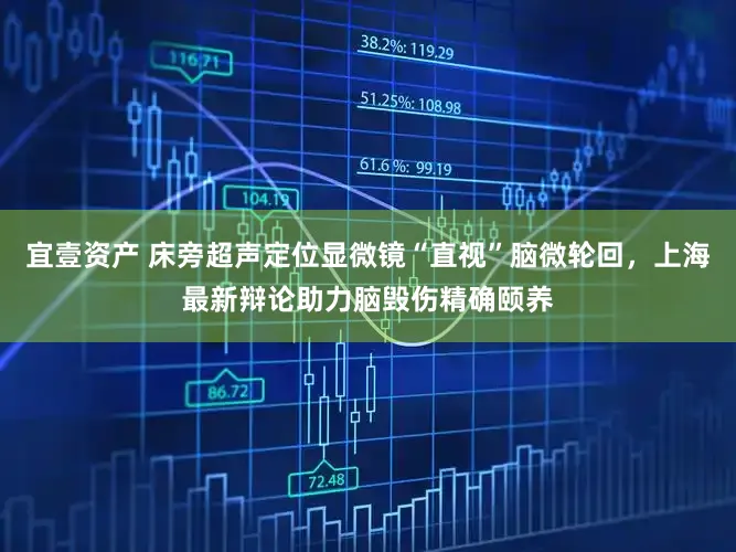 宜壹资产 床旁超声定位显微镜“直视”脑微轮回，上海最新辩论助力脑毁伤精确颐养