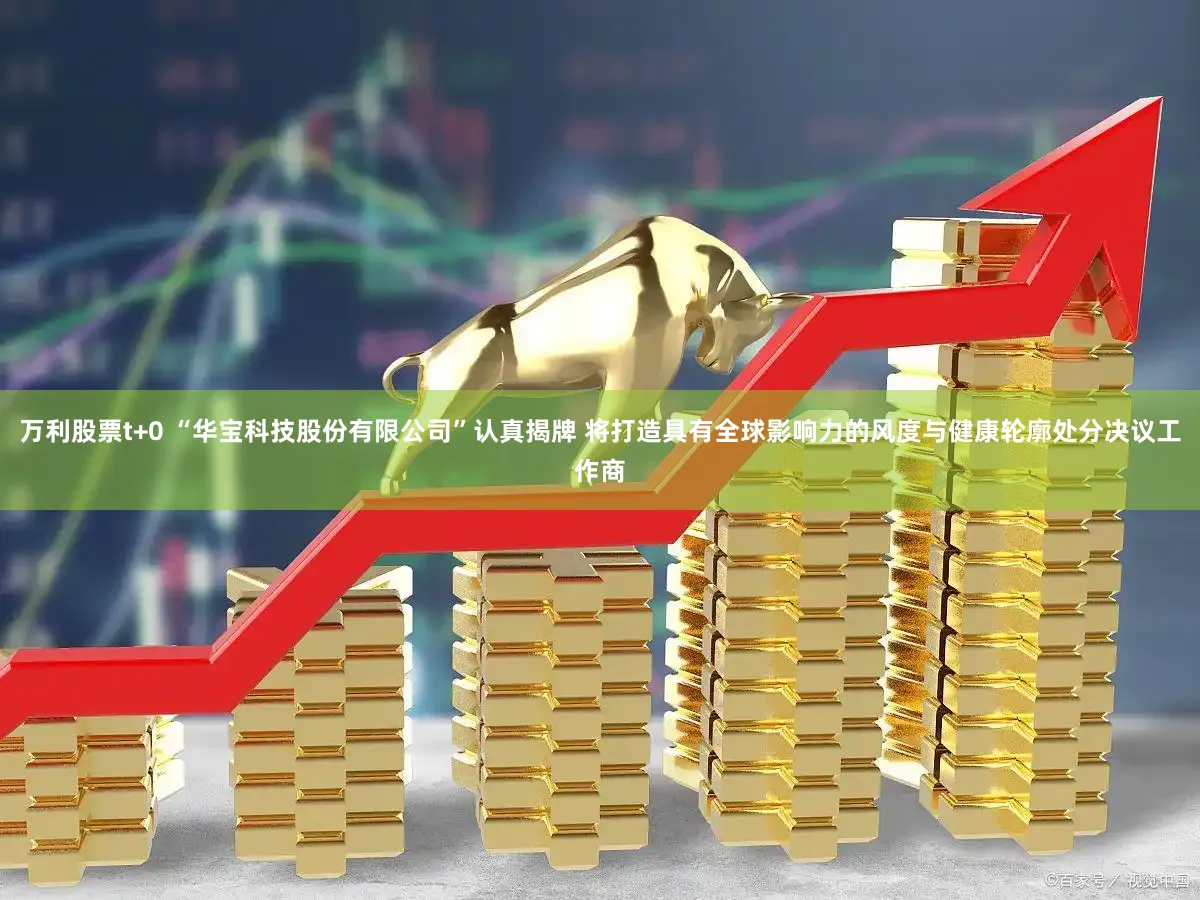 万利股票t+0 “华宝科技股份有限公司”认真揭牌 将打造具有全球影响力的风度与健康轮廓处分决议工作商