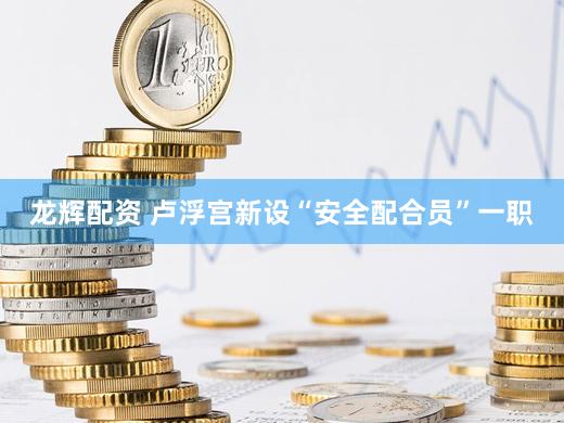龙辉配资 卢浮宫新设“安全配合员”一职