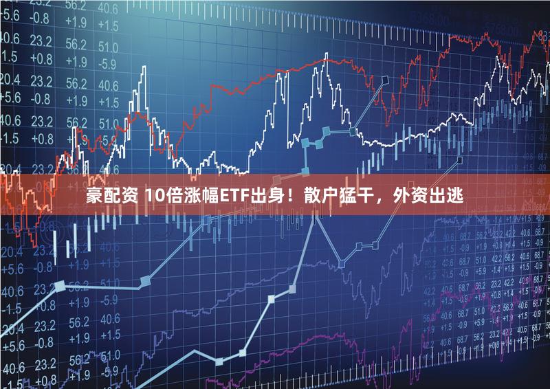 豪配资 10倍涨幅ETF出身!散户猛干,外资出逃